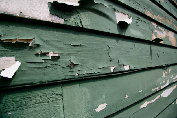 Best Dumpster Rental Services  in Kaloko, HI